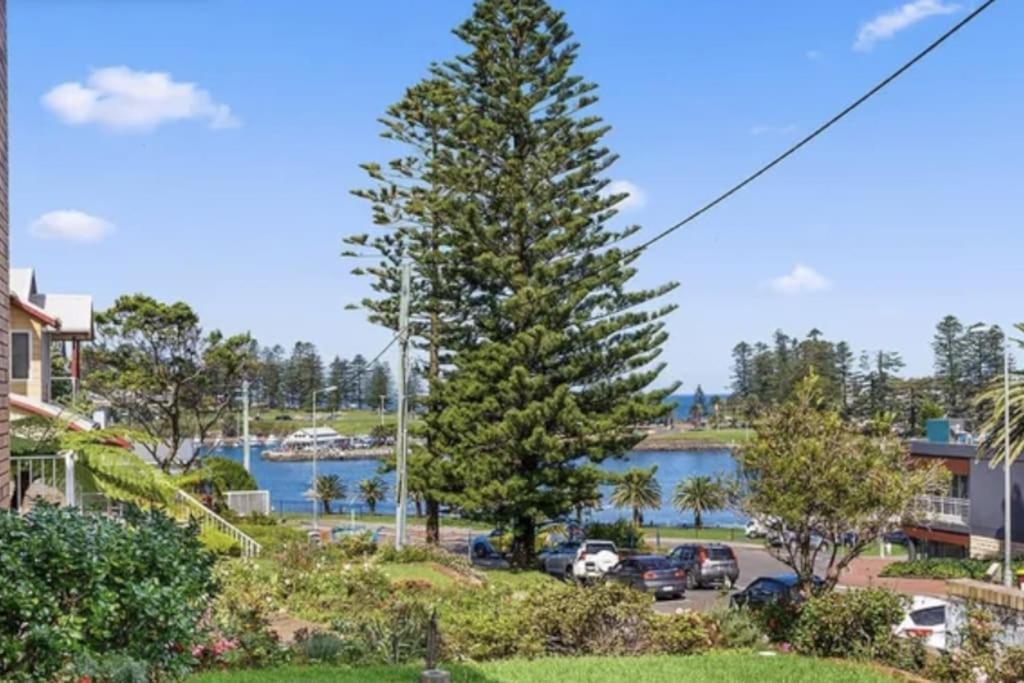 Peachy - Kiama